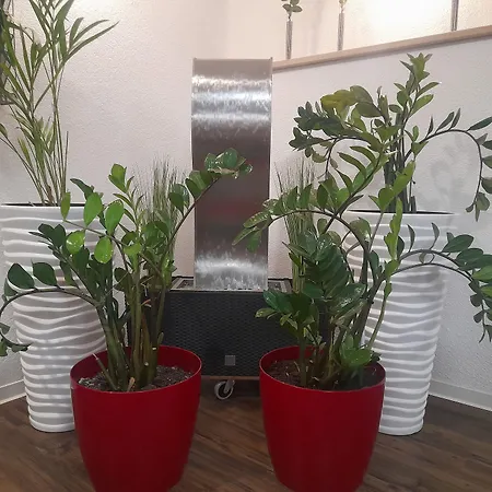 Drei Schwanen - Ristorante Due Fratelli Hotel