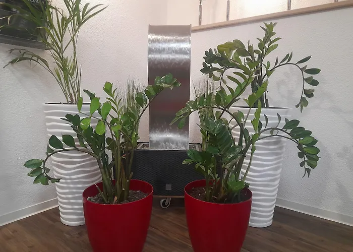 Drei Schwanen - Ristorante Due Fratelli Hotel